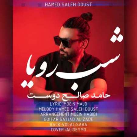 Hamed Saleh Doost – Shabe Roya